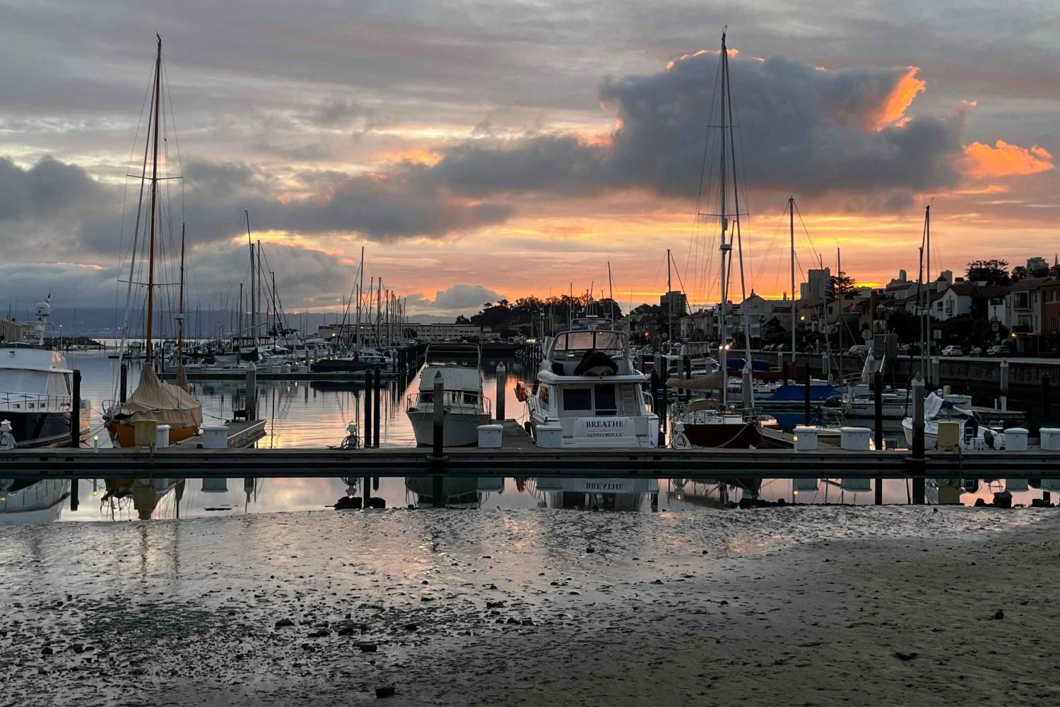 Epicka wycieczka piesza po miejskich szlakach San Francisco – miasto i przyroda