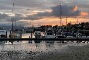 Epicka wycieczka piesza po miejskich szlakach San Francisco – miasto i przyroda