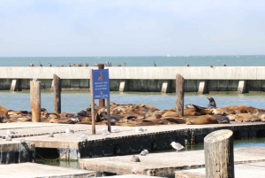 Fisherman's Wharf: Wycieczka piesza 'Ukryte skarby' i Exploratorium