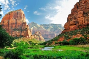 LA: San Francisco, Yosemite, Vegas, Grand Canyon 7-dages tur