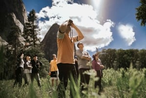 De São Francisco: Passeio guiado de 2 dias em Yosemite com traslado