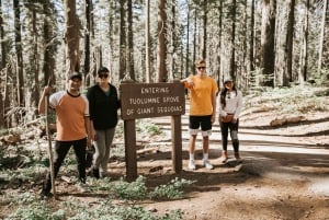 Vanuit San Francisco: 2-daagse Yosemite rondleiding met pick-up