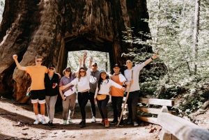 Vanuit San Francisco: 2-daagse Yosemite rondleiding met pick-up