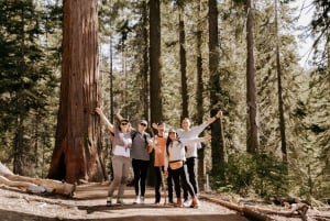 Ab San Francisco: 2-tägige geführte Yosemite-Tour mit Abholung