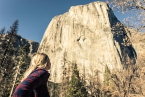 Z San Francisco: 3-dniowa wycieczka autobusem do Parku Narodowego Yosemite