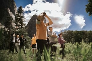 From San Francisco: 3-Day Yosemite National Park Tour by Bus