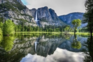 From San Francisco: 5-Day Yosemite National Park Adventure