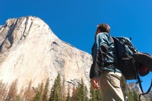 Vanuit San Francisco: Dagtocht Alcatraz en dagtocht Yosemite