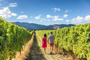 Au départ de SF : visite d'Alcatraz, visite de Muir Woods et dégustation de vin