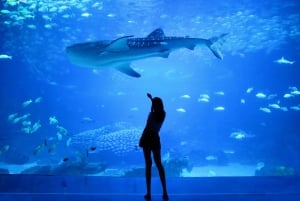 サンフランシスコ発：アルカトラズ島日帰りツアー、ミュアウッズ国立公園訪問＆ワインテイスティング