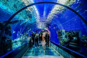 サンフランシスコ発：アルカトラズ島日帰りツアー、ミュアウッズ国立公園訪問＆ワインテイスティング