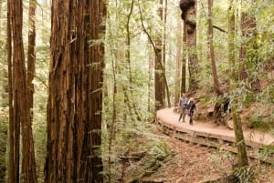 Desde San Francisco: Noche de Alcatraz & Muir Woods & Sausalito