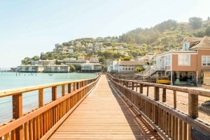 Guidet tur til Muir Woods, Sausalito, Alcatraz og akvariet