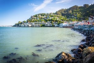 Alcatraz: tour di Muir Woods e Sausalito con acquario