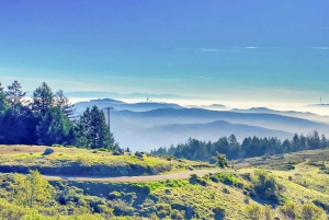 San Franciscosta: Alcatraz Night Tour, Muir Woods ja viiniä