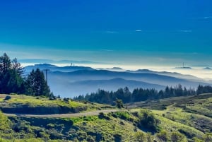 Fra San Francisco: Alcatraz aftentur, Muir Woods og vin