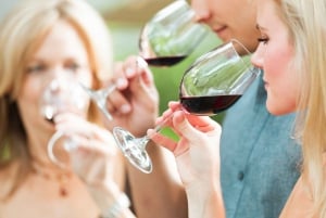 Da San Francisco: tour guidato della regione vinicola di Napa e Sonoma