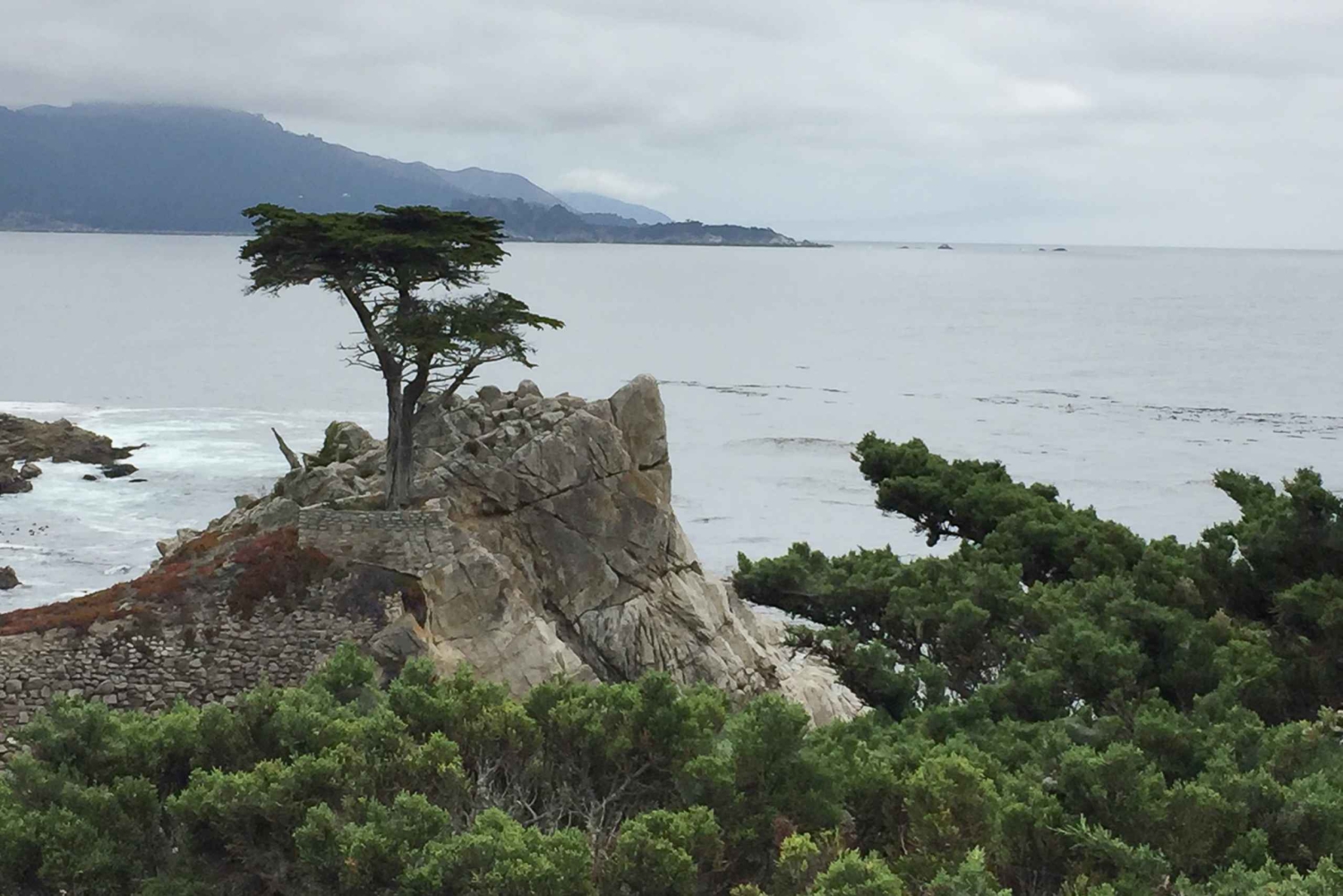 Depuis San Francisco : Visite privée de Carmel, Monterey et Big Sur