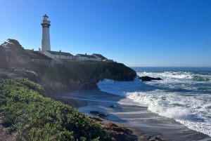 Fra San Francisco: Privat tur til Carmel, Monterey og Big Sur