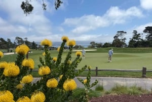 From San Francisco: Carmel, Monterey & Big Sur Private Tour