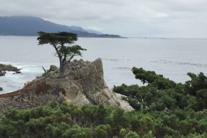 Depuis San Francisco : Visite privée de Carmel, Monterey et Big Sur