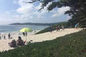 Depuis San Francisco : Visite privée de Carmel, Monterey et Big Sur