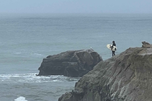 Depuis San Francisco : Visite privée de Carmel, Monterey et Big Sur