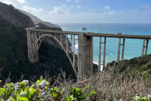 Depuis San Francisco : Visite privée de Carmel, Monterey et Big Sur
