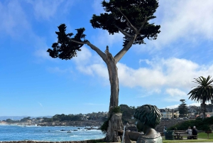Depuis San Francisco : Visite privée de Carmel, Monterey et Big Sur