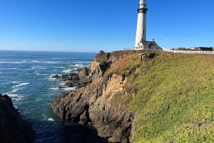 Depuis San Francisco : Visite privée de Carmel, Monterey et Big Sur