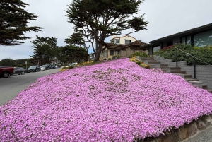 Depuis San Francisco : Visite privée de Carmel, Monterey et Big Sur