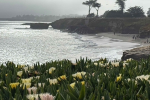 Depuis San Francisco : Visite privée de Carmel, Monterey et Big Sur