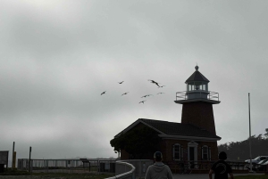 Depuis San Francisco : Visite privée de Carmel, Monterey et Big Sur