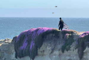 Depuis San Francisco : Visite privée de Carmel, Monterey et Big Sur