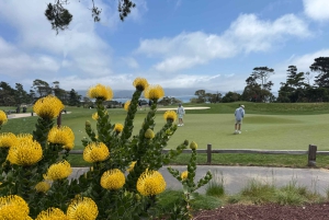 Depuis San Francisco : Visite privée de Carmel, Monterey et Big Sur