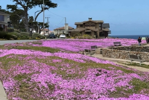 Depuis San Francisco : Visite privée de Carmel, Monterey et Big Sur