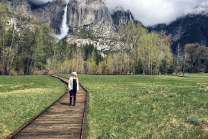 San Franciscosta: Curry Village 2-Day National Park Tour