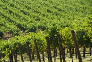 From San Francisco: Healdsburg Wine Tour and Tasting