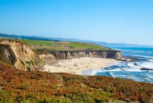 From San Francisco: Highway 1 Self-Drive Audio Tour
