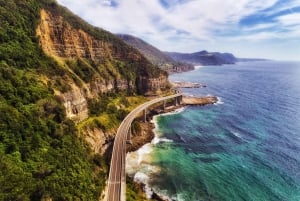 SF:stä: Highway 1 Coastal Exploration Driving Tour -ajokierros