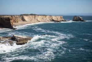 Fra SF: Highway 1 Coastal Exploration Driving Tour