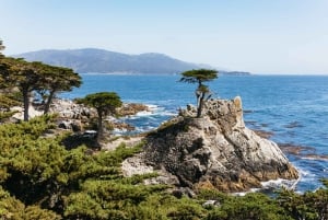 San Franciscosta: Monterey ja Carmel päiväretki
