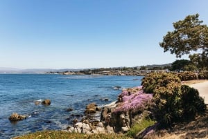 Depuis San Francisco : journée à Monterey et Carmel