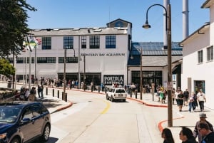 Au départ de San Francisco : Visite de Monterey et Carmel