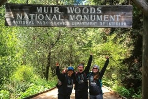 Desde San Francisco: Excursión de medio día a Muir Woods y Sausalito