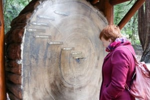 Da San Francisco: Escursione di mezza giornata al Muir Woods e a Sausalito