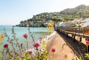 Vanuit San Francisco: Muir Woods en Sausalito halve dagtrip