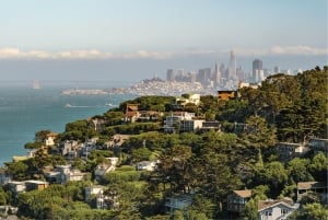De São Francisco: Viagem de meio dia a Muir Woods e Sausalito