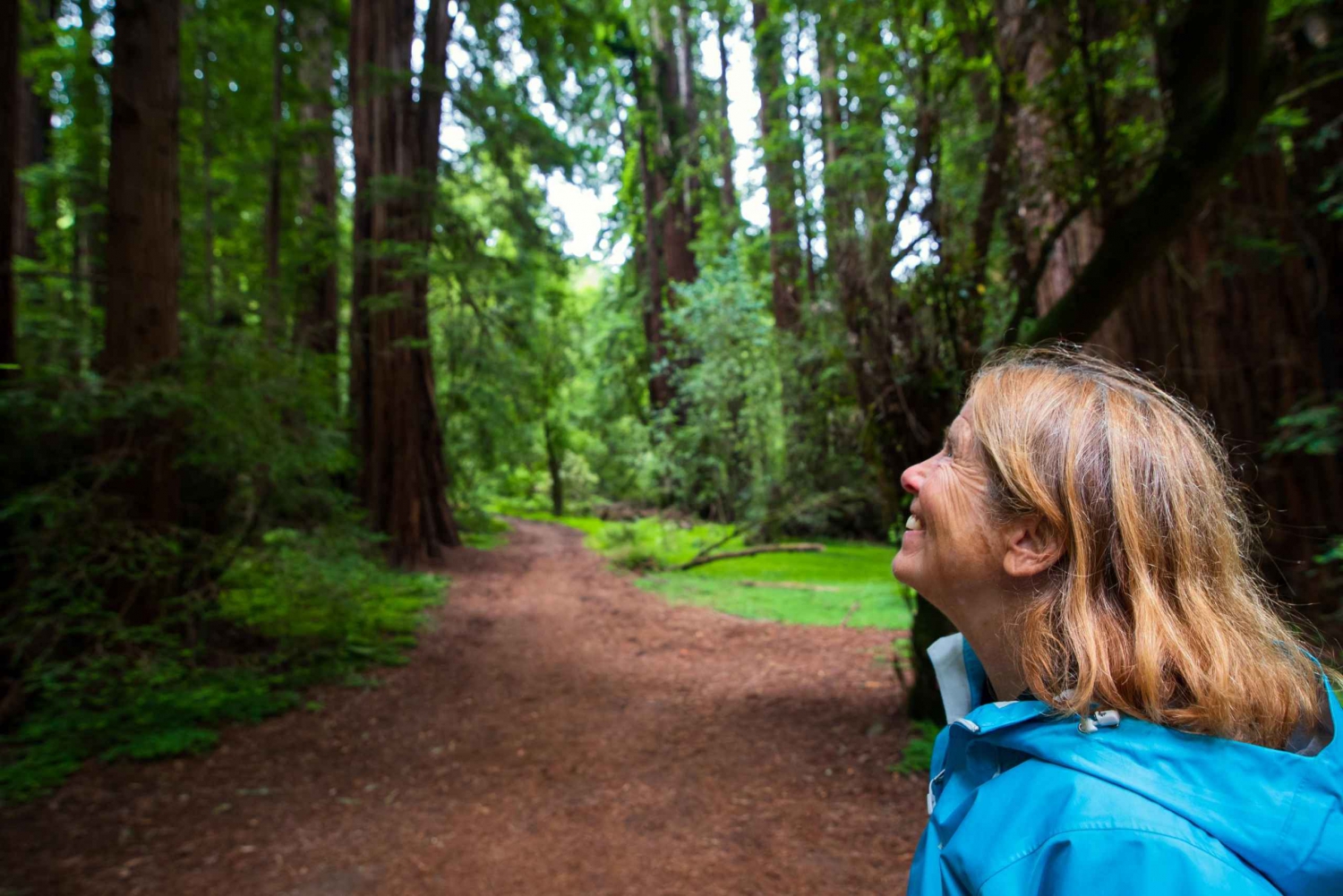 From San Francisco: Muir Woods Redwood Forest Tour