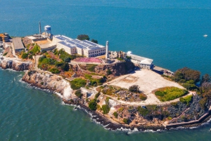 De São Francisco: Excursão a Muir Woods, Sausalito e Alcatraz